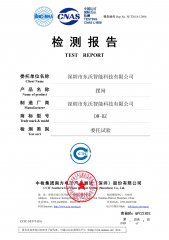 擺閘檢測報(bào)告