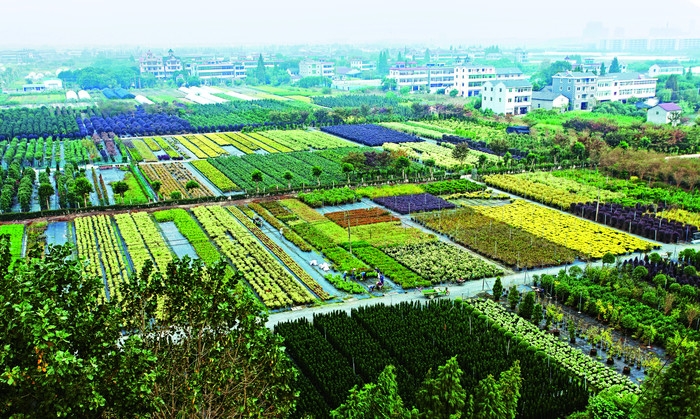海寧市虹越國際花卉城-無人值守停車場系統(tǒng)